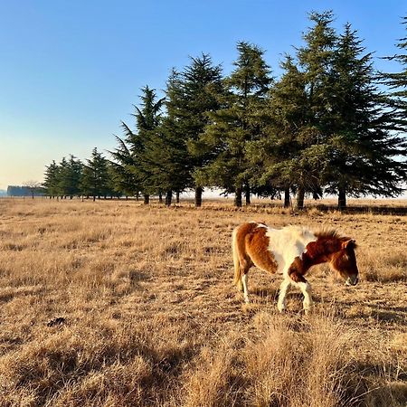 Merino Stal Guest Farm Ermelo Extérieur photo